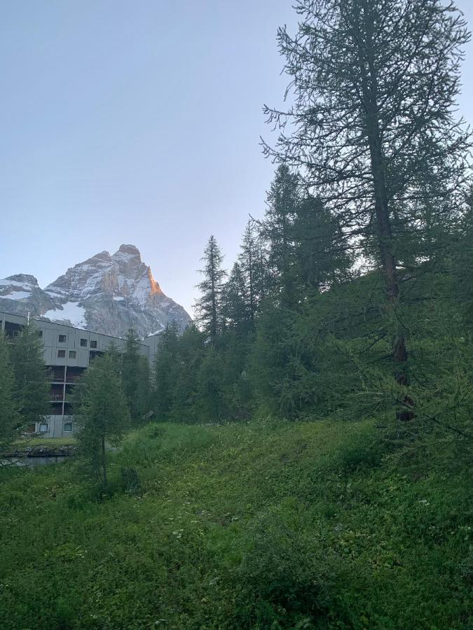 Cervinia In Out - Spacious Apartment Breuil-Cervinia